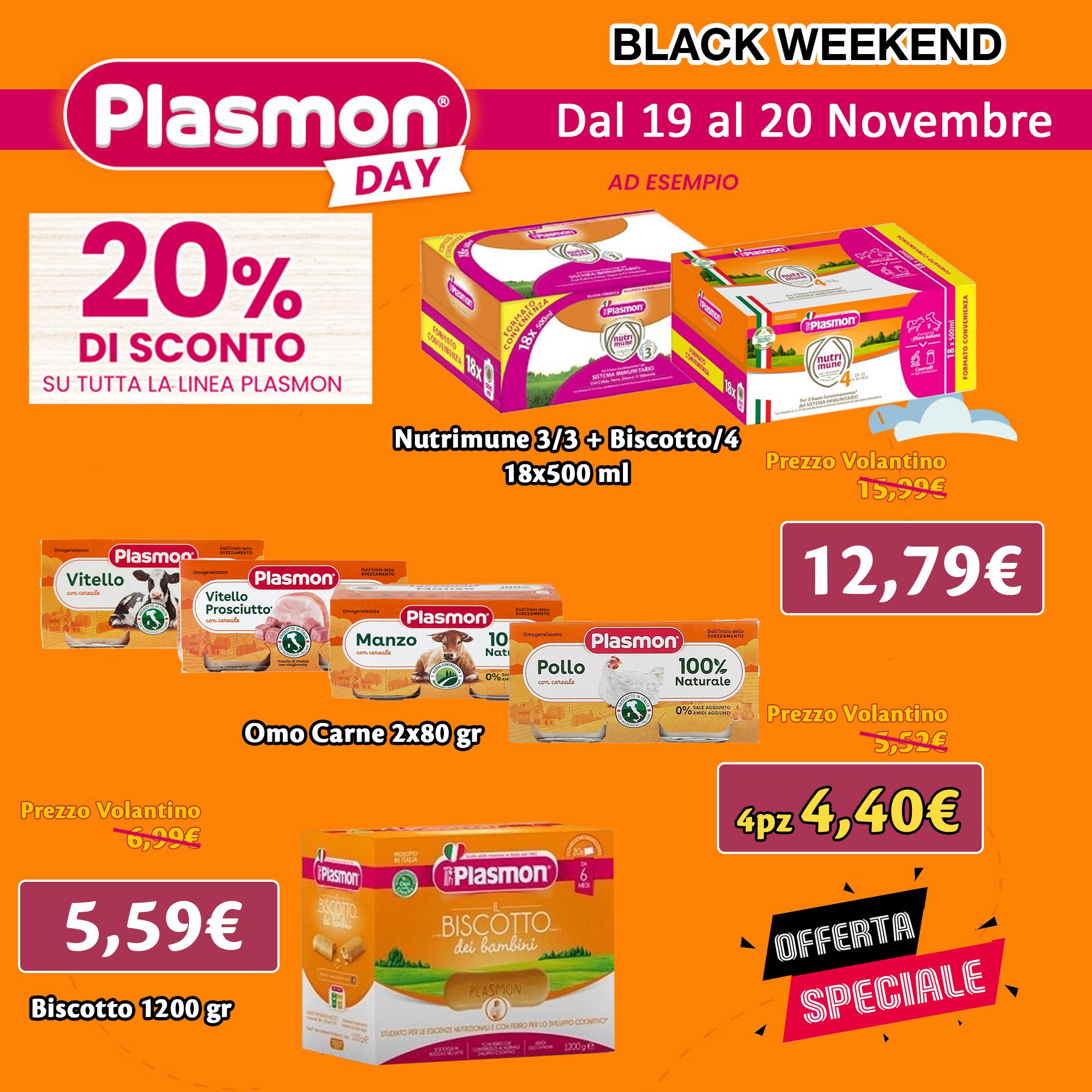 Plasmon Day